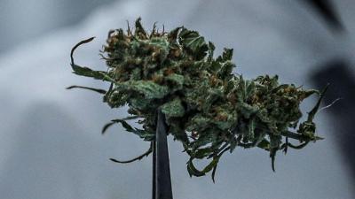Três toneladas de marijuana apanhadas num semissubmersível - TVI