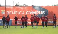 Último treino do Benfica antes do jogo no Camp Nou (fotos SLB)