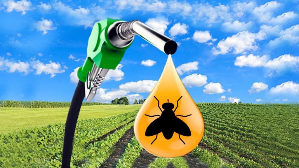 Combustíveis: insetos na produção de biodiesel
