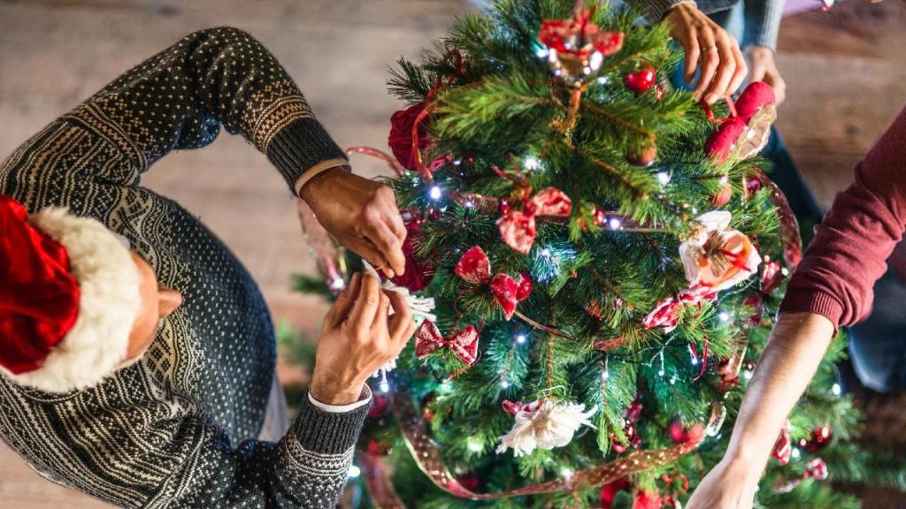 Natural vs. Artificial: qual a melhor opção de Árvore de Natal para o  clima? - CNN Portugal