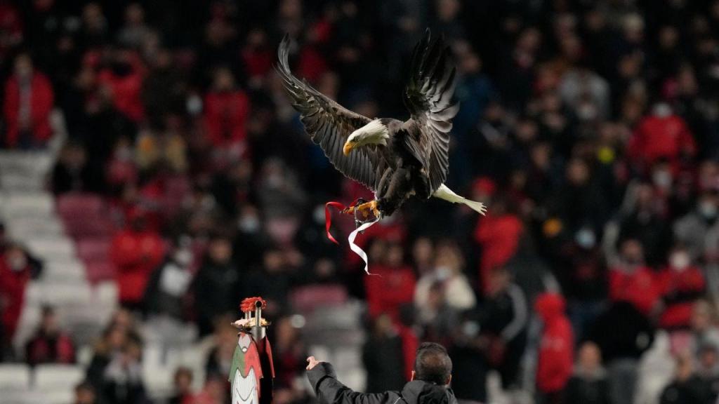 Champions: Benfica-Dínamo Kiev (AP/Armando França)