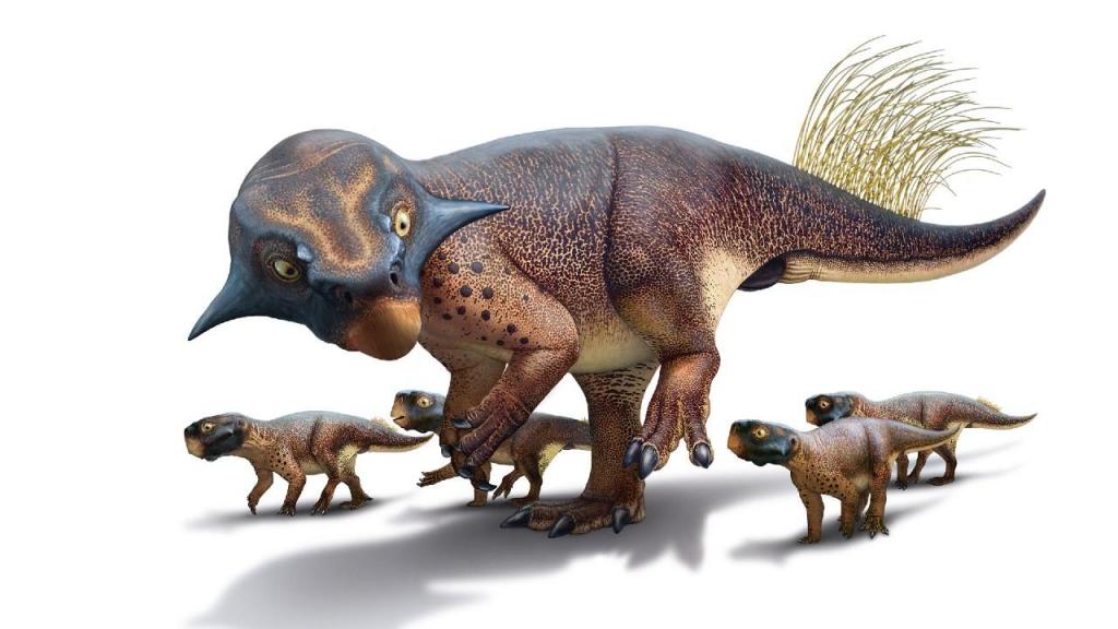 Reconstrução de um Psittacosauro, uma ilustração que aparece no livro "Dinosaurs: New Visions of a Lost World." Uma descoberta de fóssil desta criatura contém tecido mole preservado, incluindo pele e uma série de plumas semelhantes às de escrevedeiras, no topo da cauda. Foto: Bob Nicholls