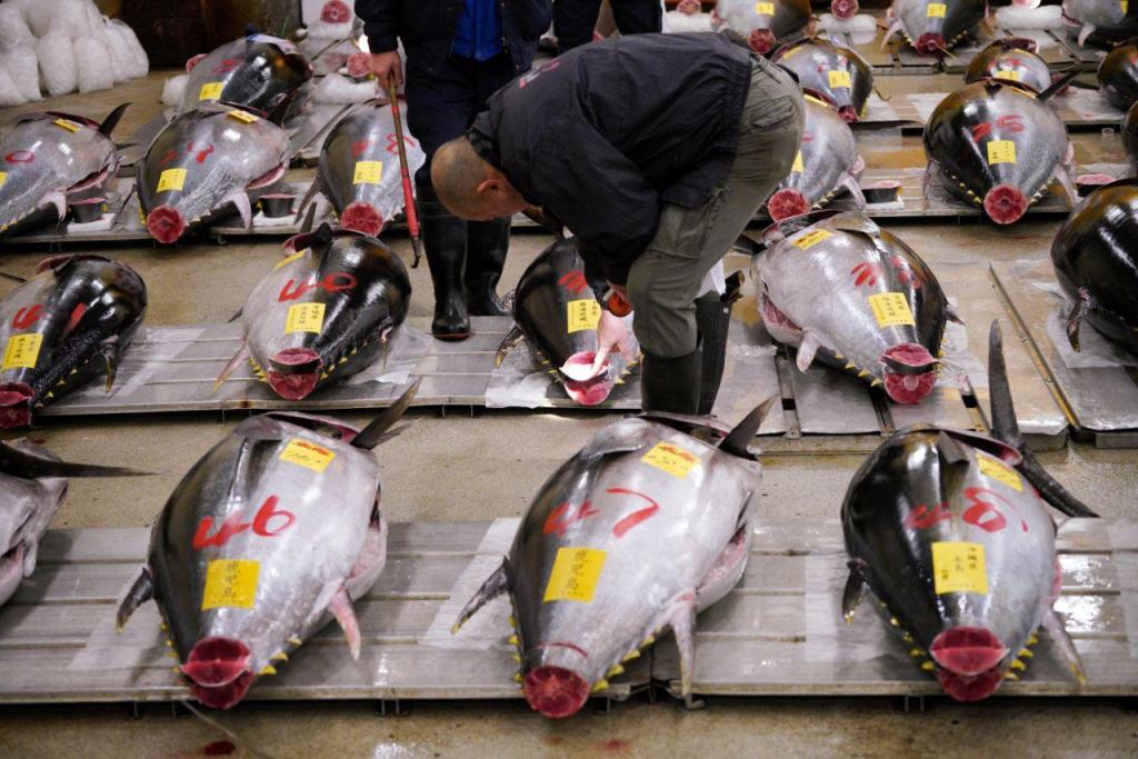 Leilão de atum em Tóquio (AP)