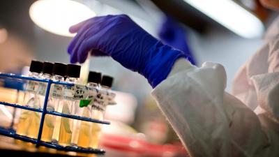 "É um sucesso": investigadores desenvolvem vacina contra o cancro do pâncreas com resultados promissores - TVI
