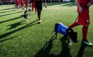 Jogadores do Salgueiros entram em campo com cães para adoção