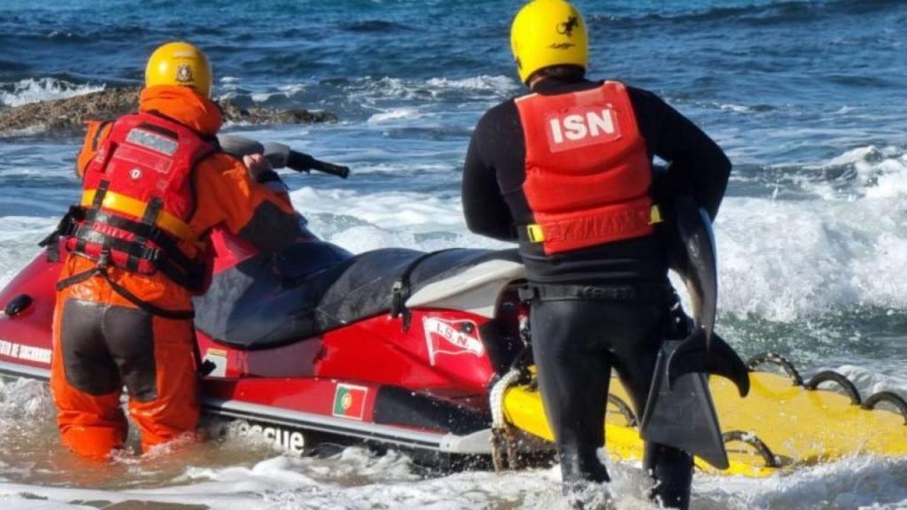 Polícia marítima resgata jovem golfinho em Odemira (Polícia Marítima)