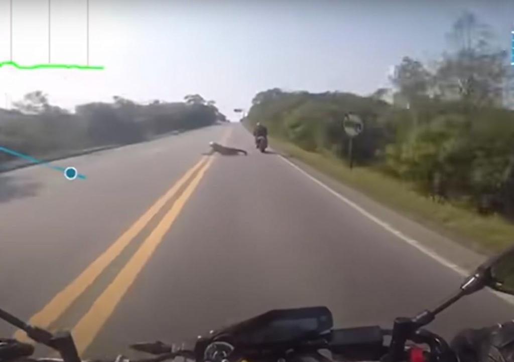 Acidente com motociclista no Brasil (captura YouTube)
