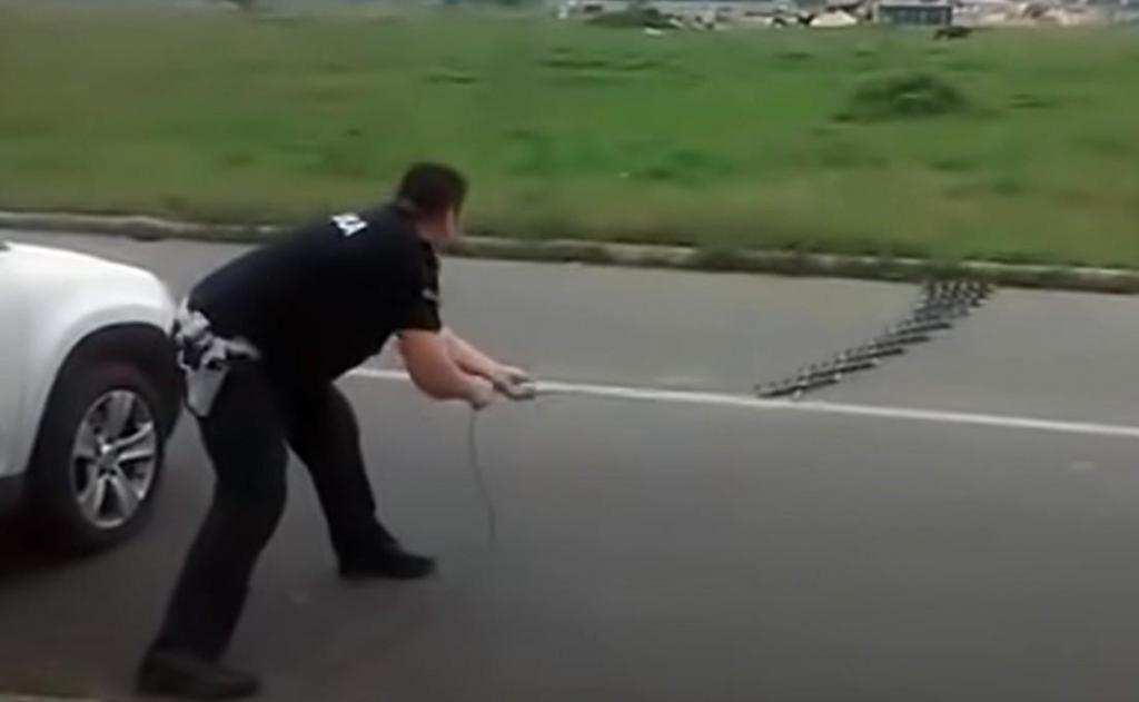 Treino policial na Macedónia do Norte (Captura YouTube «Strumica Denes»)