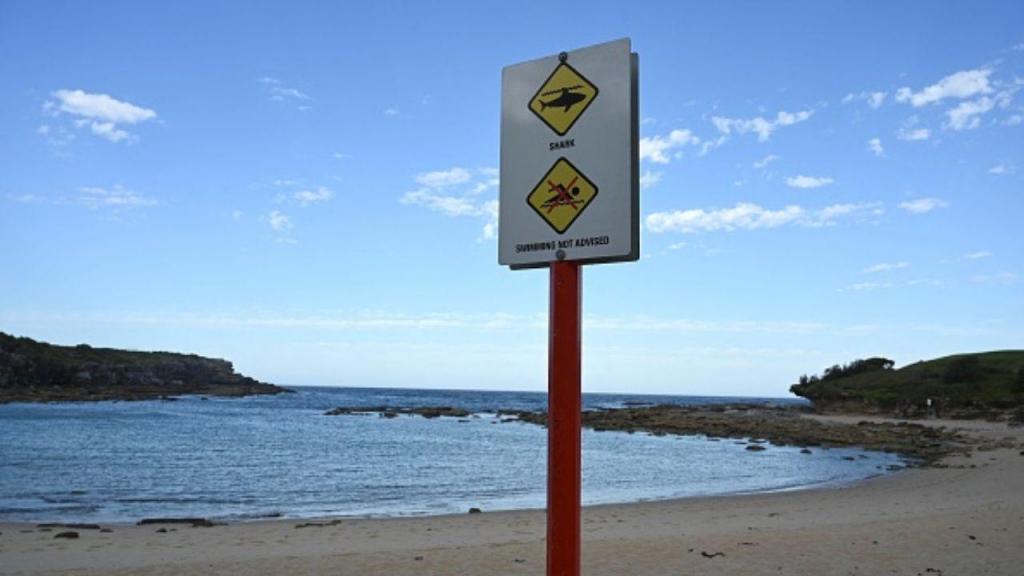 Ataque de tubarão em Sydney (Getty Images)