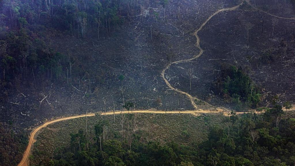 Desflorestaçao na Amazónia (Foto: Marizilda Cruppe/Amazônia Real)