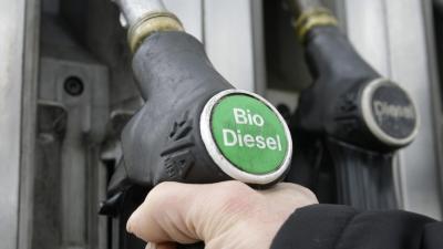 Biocombustíveis até podiam ser fundamentais - mas “mal aquecem” o motor - TVI