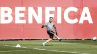 Treino Benfica (Fotos: Benfica)