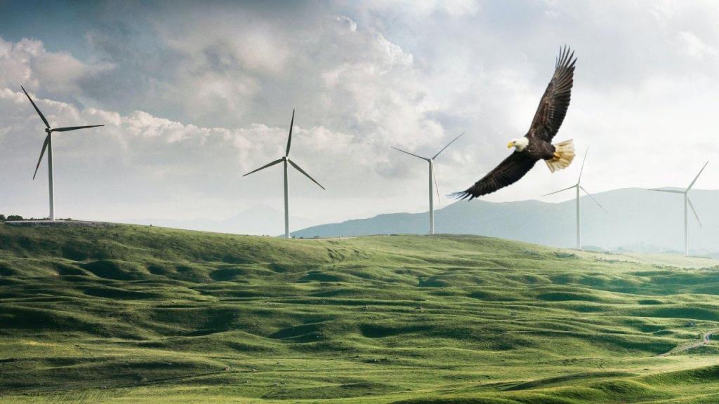 Águias mortas em parques eólicos nos Estados Unidos