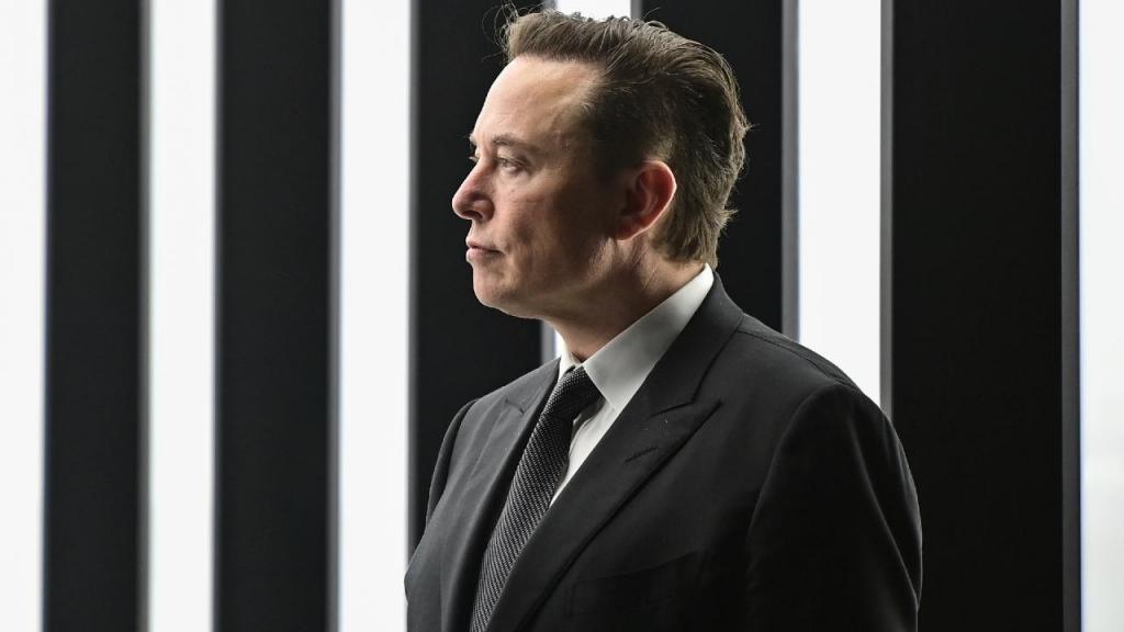 Elon Musk. (Patrick Pleul/Pool via AP)