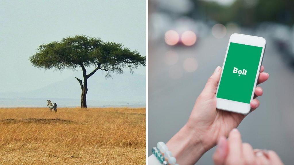 Bolt vai plantar árvores no Quénia