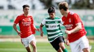 Sporting-Benfica em juniores