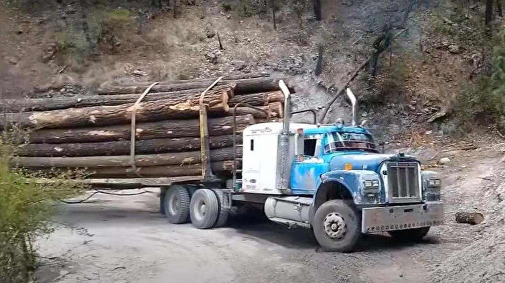 Camião de transporte de madeira (captura YouTube «Sierra Madre»)