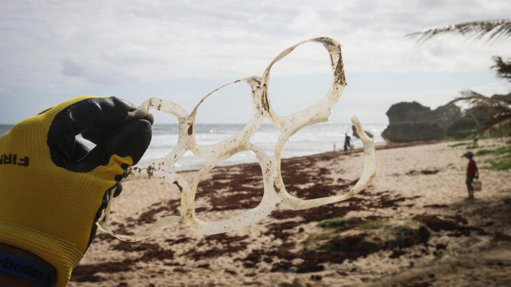 Buondi cria desafio para limpar praias (Foto: B. Yurasists/Unsplash)