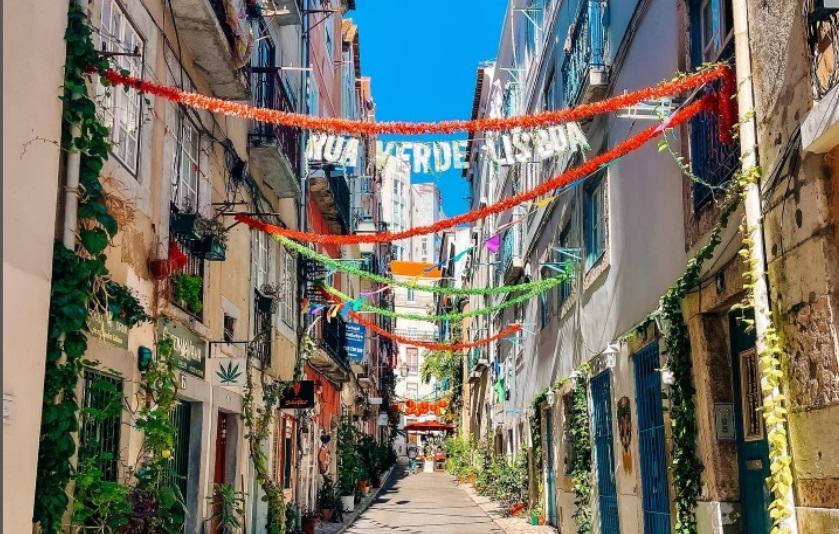 A "Rua Verde" de Lisboa está decorada com inúmeras plantas e já tem página no Instagram