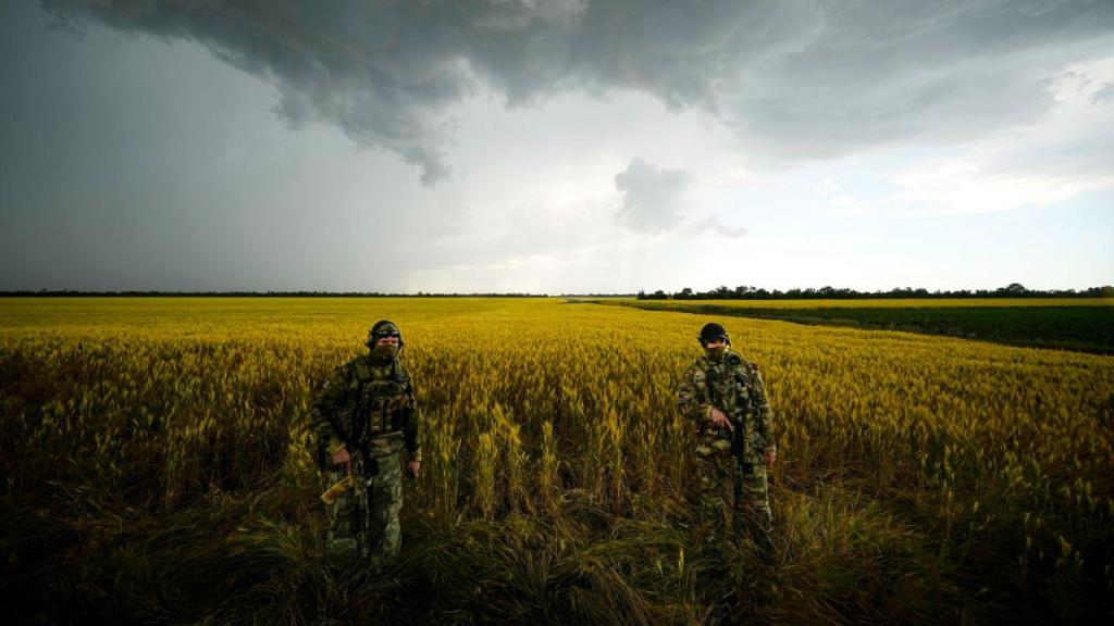 Soldados russos num campo de cereais em Zaporizhzhia  (AP Photo)