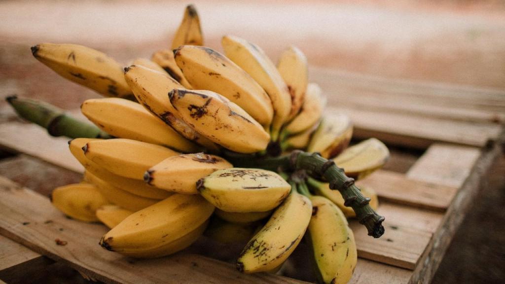 Bananas podem ser solução para energia renovável