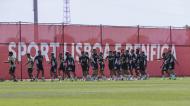 Primeiro treino do Benfica (Benfica)