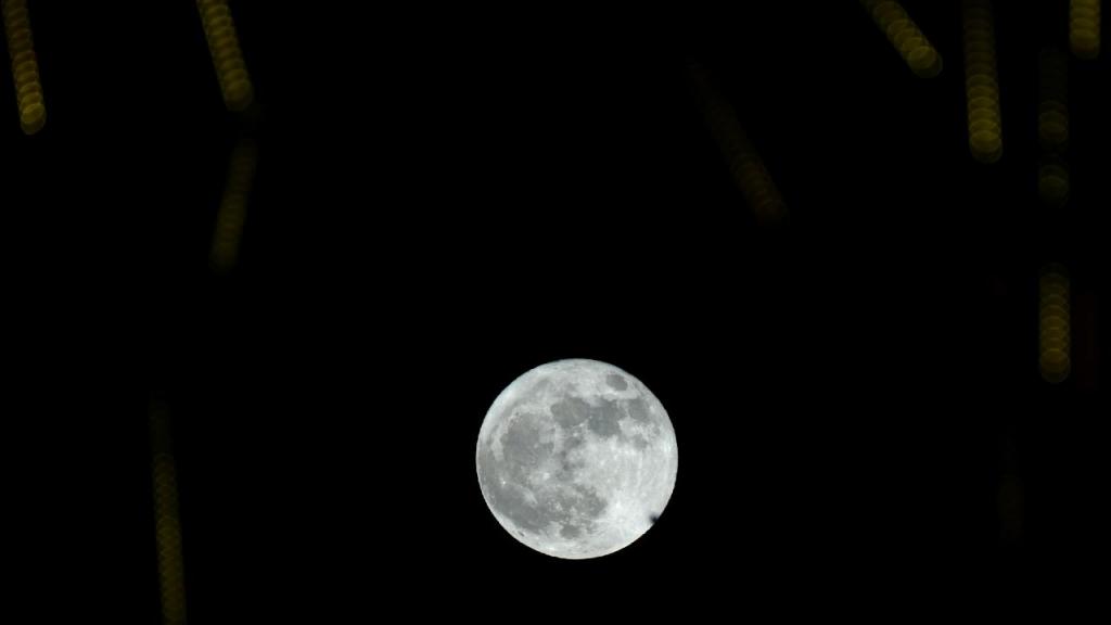 Lua. (AP Photo/Adel Hana)