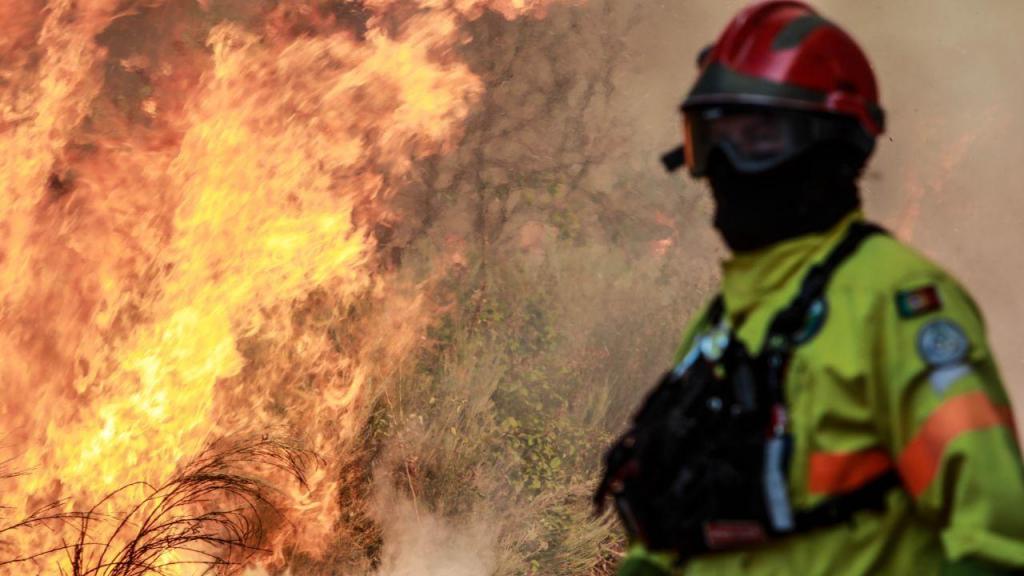 Bombeiros combatem incêndio na Guarda (Miguel Pereira da Silva/Lusa)