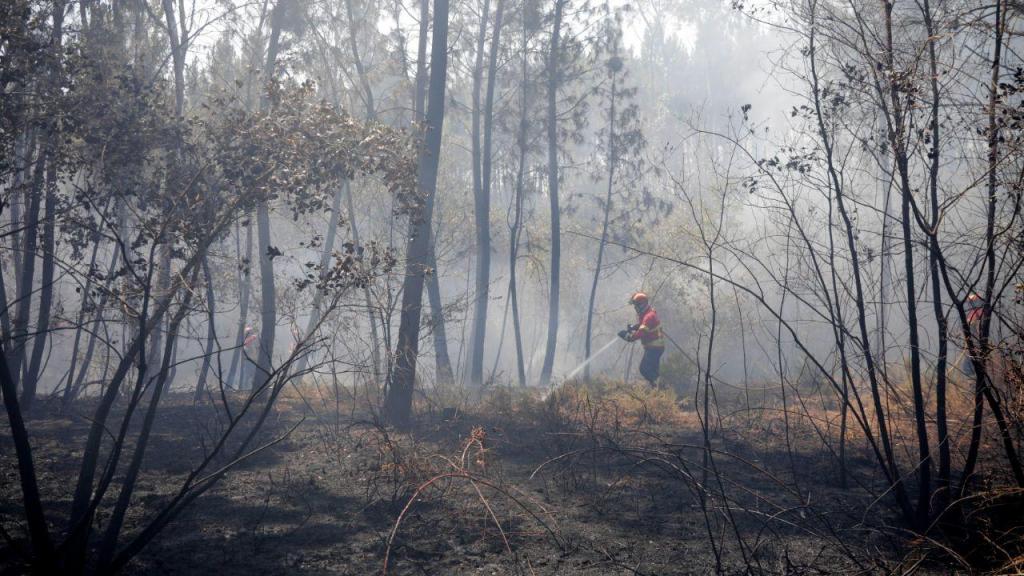 Portugal em risco máximo de incêndio (Paulo Cunha/Lusa)
