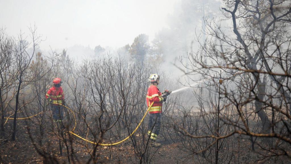 Portugal em risco máximo de incêndio (Paulo Cunha/Lusa)