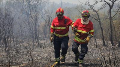 A7 cortada devido a fogo em Vila do Conde com três frentes ativas - TVI