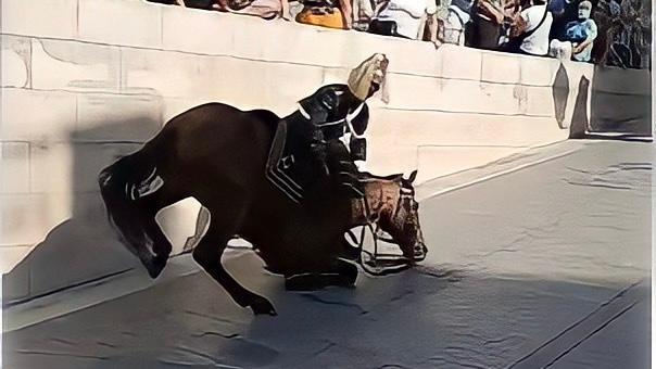 Cavalo da GNR cai antes de procissão em Coimbra