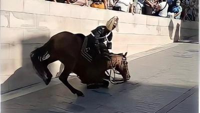 Queda de cavalo em procissão leva PAN a pedir explicações e causa indignação nas redes sociais - TVI