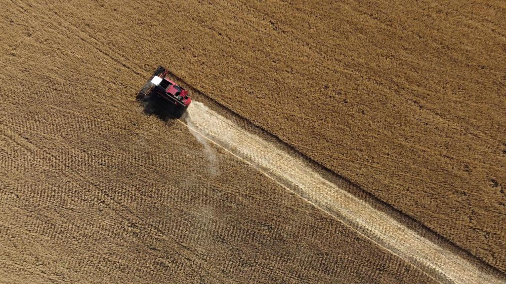 O trigo é colhido a 7 de julho de 2022 próximo de Kramatosk, no Donetsk, Ucrânia. Miguel Medina AFP via Getty Images