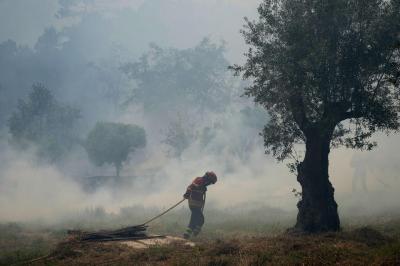 Mais de 80 concelhos de sete distritos em perigo máximo de incêndio - TVI
