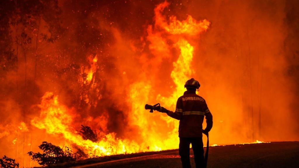 Bombeiros combatem um fogo florestal em Leiria. EPA/Paulo Cunha