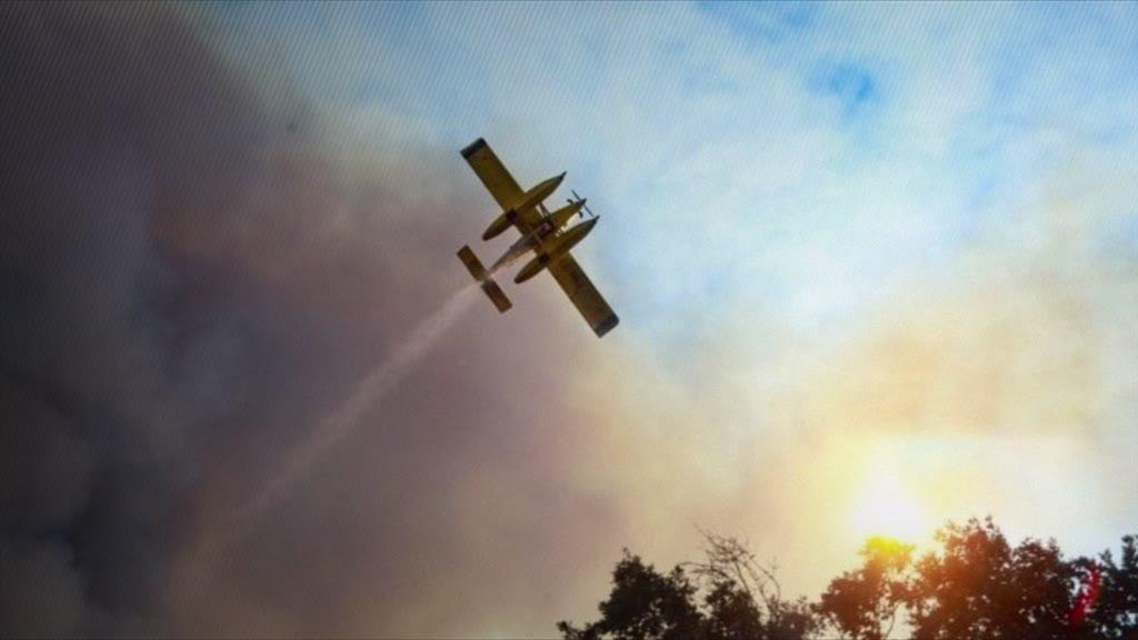 "Governo disponível para apoiar a família" do piloto que morreu a combater os incêndios, diz MAI