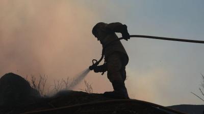"Cerca de 1.500 leitões mortos ou feridos" em fogo numa suinicultura de Estremoz - TVI
