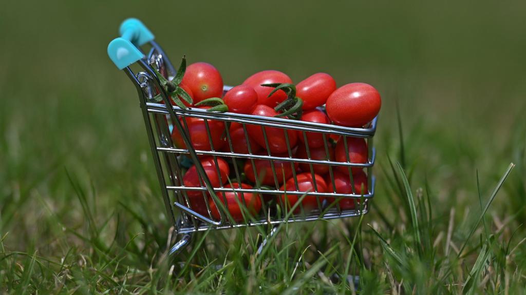 Preços, inflação, reduflação, estagflação, economia, legumes, cabaz, supermercado. Foto: rtur Widak/NurPhoto via Getty Images
