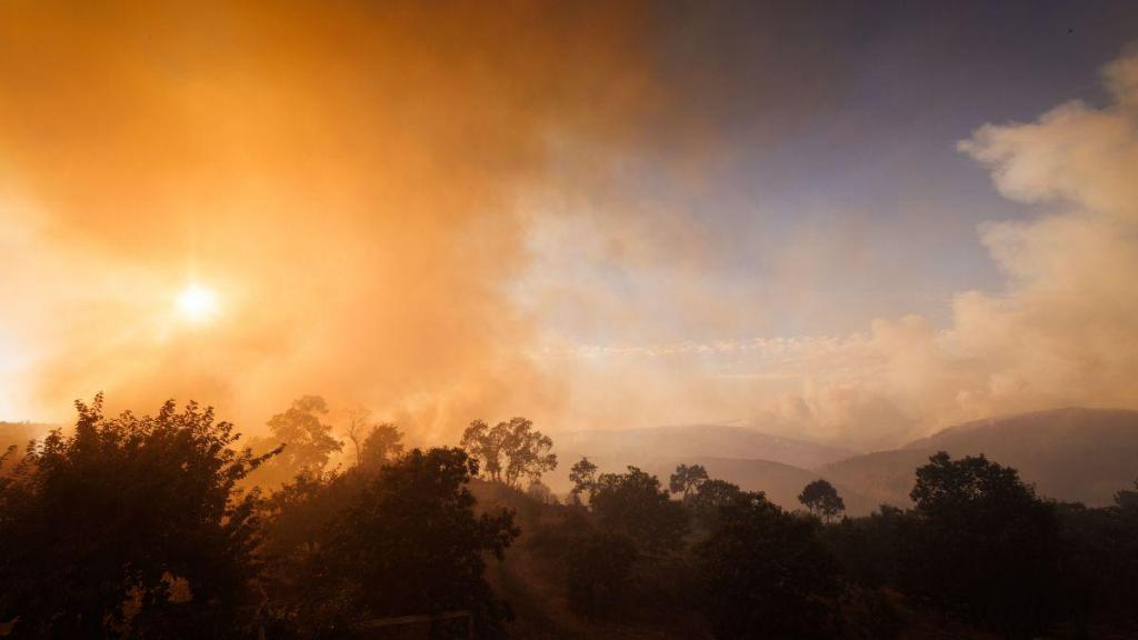 Incêndio em Vila Pouca de Aguiar (PEDRO SARMENTO COSTA/LUSA)