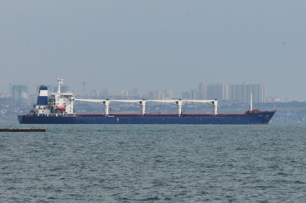 O navio Razoni, com bandeira da Serra Leoa, saiu esta segunda-feira do porto de Odessa com 26 mil toneladas de milho (Foto: AP)