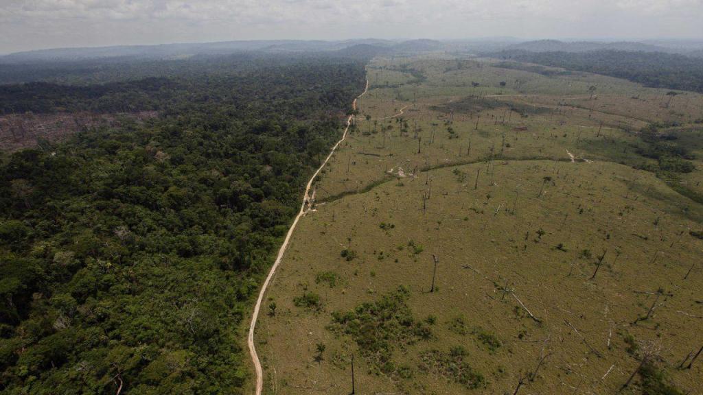 Desflorestação na Amazónia (Foto: A. Penner/AP)