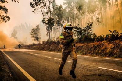 Perigo máximo de incêndio em seis concelhos do distrito de Faro - TVI