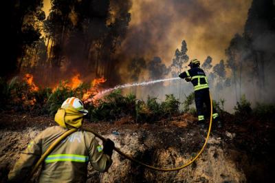 Incêndios: 64% dos fogos florestais desde janeiro foram causados por negligência - TVI