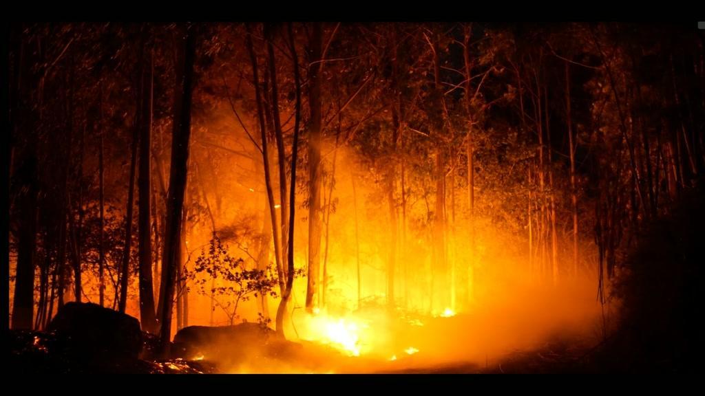 Incêndio na Galiza obriga à retirada de 700 pessoas de parque de campismo