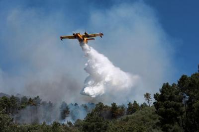 Governo admite "recorrer ao ajuste direto" para comprar aeronaves de combate a incêndios - TVI