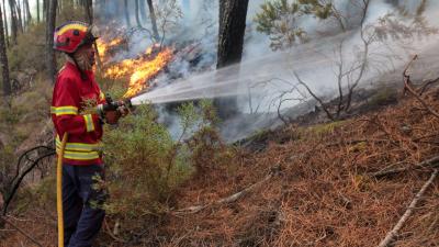 Associação de Proteção Civil diz que Jornada Mundial da Juventude vai limitar combate aos incêndios - TVI