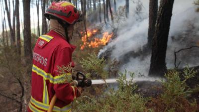 Cerca de 30 concelhos de cinco distritos em perigo máximo de incêndio - TVI