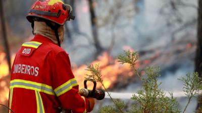 Três concelhos de Faro em perigo máximo de incêndio - TVI