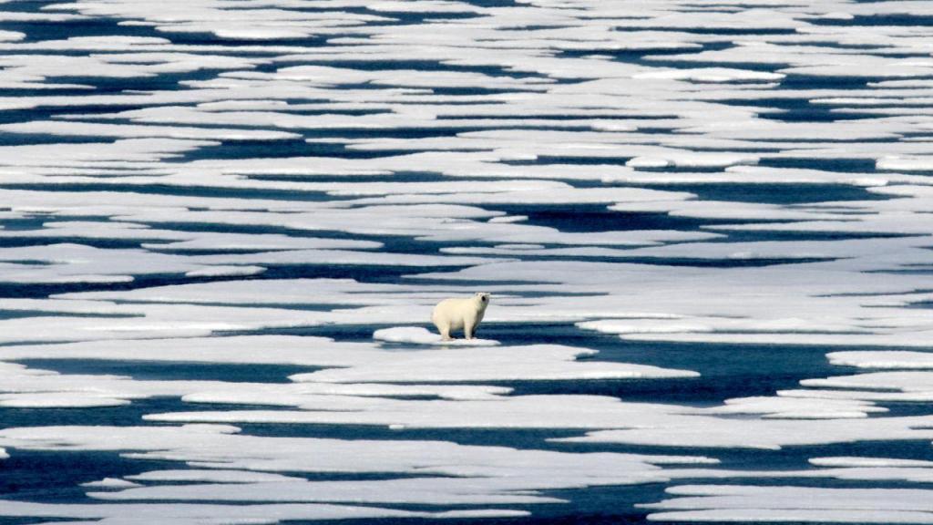 O degelo no Ártico (AP Photo/David Goldman)